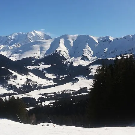 Lys Oranges 4p Megève